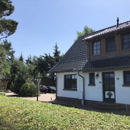 Apartmán Haus Hugo Zingst Exteriér fotografie