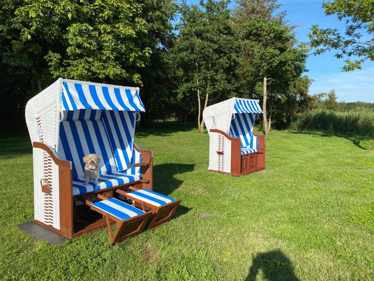 Apartmán Haus Hugo Zingst Exteriér fotografie